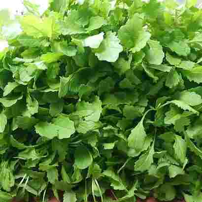 Mustard greens (Shorisha Shak)